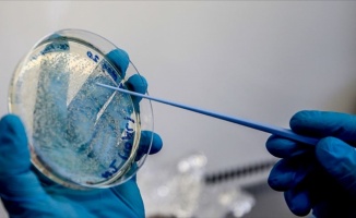 Almanya, Kovid-19 aşı geliştiricisi CureVac&#039;ın yüzde 23 hissesini satın alıyor