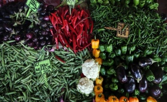 Doğu Akdeniz'den yaş sebze meyve ihracatına büyük katkı