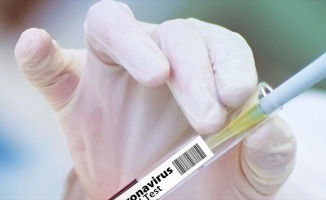 Kovid-19&#039;a karşı yeni aşı adayının klinik denemelerine başlandı