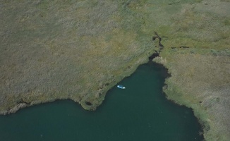 Kuş gözlemcilerinin uğrak yeri: Dalyan Kanalı ve Köyceğiz Gölü