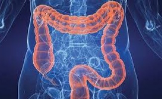 Crohn hastalığının semptomlarına ilişkin uyarı
