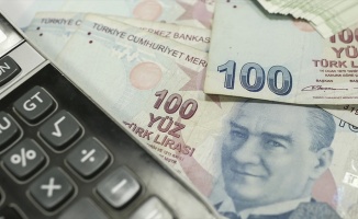 Fahiş fiyat artışı yaptığı tespit edilen 60 firmaya 3,1 milyon lira para cezası