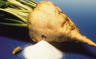 Rusya şeker ihracatını dört katına çıkardı