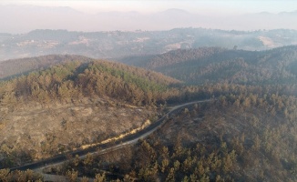 Bakan Pakdemirli: Adana Kozan&#039;daki orman yangını kontrol altına alındı