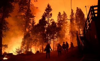 ABD&#039;nin Oregon eyaletindeki orman yangınında çok sayıda kişinin ölmesinden endişe ediliyor