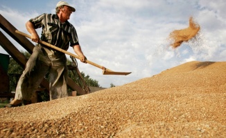 Reuters: Rusya, Cezayir ve Irak tahıl pazarlarına girmeye hazırlanıyor