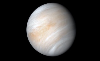 Venüs&#039;te yaşam olabileceği iddia edildi