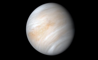 Venüs&#039;te yaşam olabileceği iddia edildi