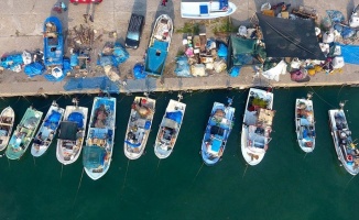 Batı Karadenizli balıkçılar hamsiden umutlu
