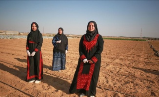 Gazze&#039;de üniversite mezunu işsiz kadınlar, tarıma yöneldi