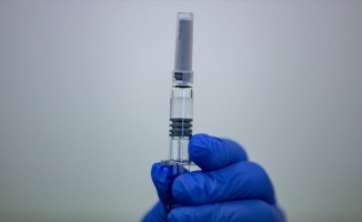 Putin Rusya'da ikinci Kovid-19 aşısının tescillendiğini açıkladı