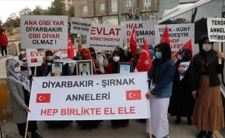 Şırnak&#039;taki terör mağdurlarının HDP binası önündeki eylemine Diyarbakır annelerinden destek