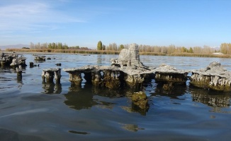 Van Gölü&#039;nün çekilmesiyle su altında kalan yapılar ortaya çıktı