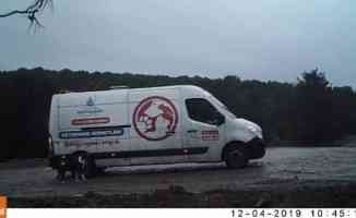 Hayvanseverler tepkili: İBB, sokak hayvanlarını ölüme terk ediyor!