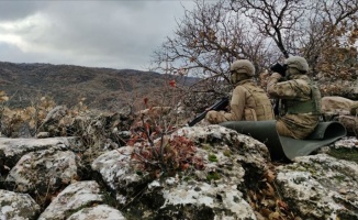Terör örgütü YPG/PKK'ya kasımda ağır darbe