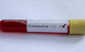 Az temas koronavirüsün mutasyon geçirme olasılığını azaltıyor