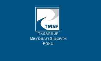 TMSF şirketlerinden 2020&#039;de 3,4 milyar lira kar