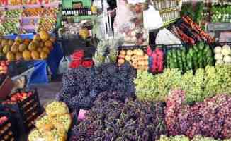 Yaş meyve sebze ihracatı şubat ayında yüzde 23 arttı