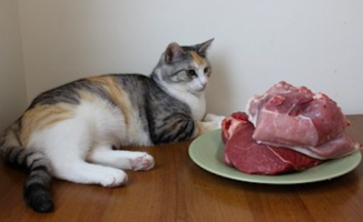 Rusya&#039;da sığır eti tüketimi son 10 yılda ciddi düzeyde düştü