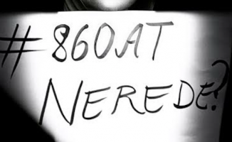 Adaların Atları için denetim gecikmemeli! Sahiplenme taahhüdü süresi dolmak üzere..