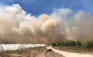 Antalya&#039;da sazlık alanda çıkan yangın kontrol altına alınmaya çalışılıyor