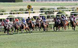 Türk at yarışçılığı derbi için geri sayıyor