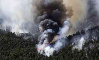 Atina yakınlarında 2 gündür devam eden orman yangınlarında 80-90 bin dönüm arazi kül oldu