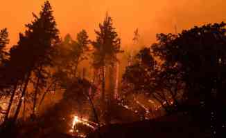 Dünya genelinde orman yangınları ile mücadele devam ediyor
