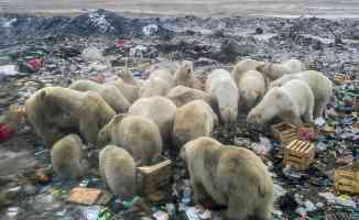 Rusya&#039;da yılda 1,6 trilyon ruble değerinde yiyecek çöpe atılıyor