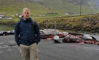Hayvan hakları savunucusu, Faroe Adaları&#039;ndaki tepki çeken yunus ve balina katliamını anlattı