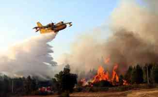 İspanya&#039;nın güney bölgesindeki yangınlar devam ediyor