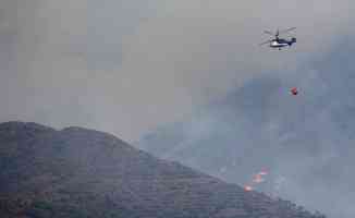 İspanya&#039;nın güneyindeki yangınlar yedinci gününde kontrol altına alındı