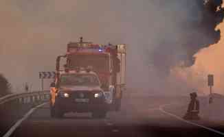 İspanya&#039;nın güneyindeki yangınlarda 6 bin hektardan fazla alan kül oldu