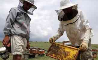 Türkiye Arıcılar Birliği ve Güvenilir Ürün Platformu toplantısında “arıcıların derdine derman olun“ çağrısı