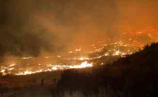 Muğla&#039;da çıkan orman yangınına müdahale ediliyor