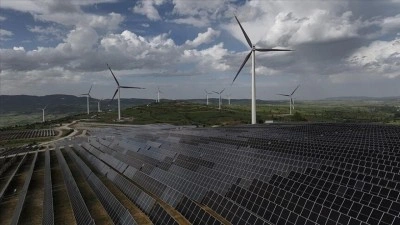 2025'te devreye alınan elektrik kapasitesinin y&uuml;zde 99'u yenilenebilir kaynaklardan oldu