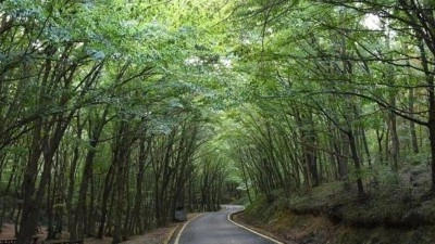 21 ilde bazı alanlar orman sınırları dışına &ccedil;ıkarıldı