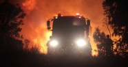 22 saat süren yangında 220 hektar alan kül oldu