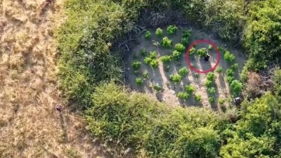 28 ildeki uyuşturucu operasyonlarında yakalanan 69 ş&uuml;pheli tutuklandı