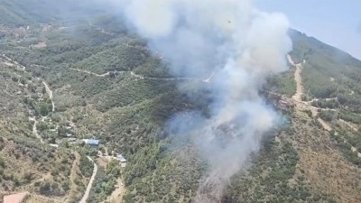 3 ilde &ccedil;ıkan orman yangınları kontrol altına alındı
