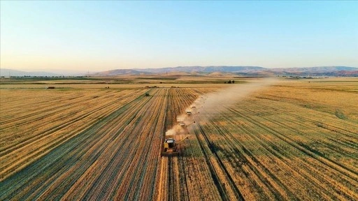 4. Tarım Orman Şurası kararları yarın açıklanacak