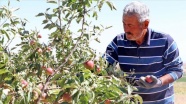 50 yıl sonra köyüne dönen müteahhit elma bahçesi kurdu