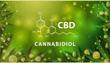 7 bin yıllık Anadolu&rsquo;da 7 senede Keneviri iyi yerlere taşıdık -Dr. Erdem Ulaş yazdı-