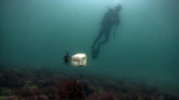 AA foto muhabiri, &Ccedil;evre Forumu kapsamında Marmara Denizi'ne dalış yaparak atık topladı