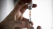 AB, Batı Balkanlar&#039;a 651 bin doz Kovid-19 aşısı gönderecek