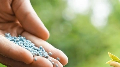 AB bazı g&uuml;brelerdeki vergileri askıya alıyor