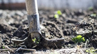 AB'den g&uuml;bre krizine karşı plan