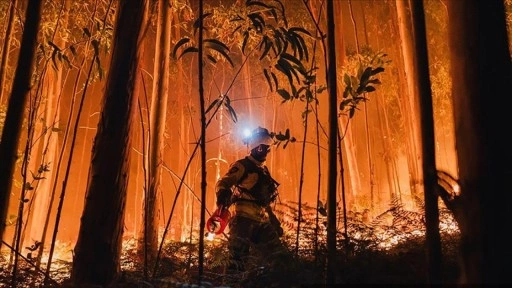 AB ormanları 2025'teki yangınlarda kayıtlardaki en b&uuml;y&uuml;k kaybı yaşadı