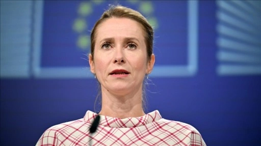 AB, Ukrayna'da savaşı bitirecek planın, Kiev ve Avrupa tarafından kabul görmesi konusunda ısrar