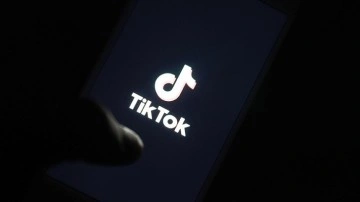 AB, X'ten sonra Meta ve TikTok'un da i&ccedil;erik kurallarına uyumunu soruşturuyor